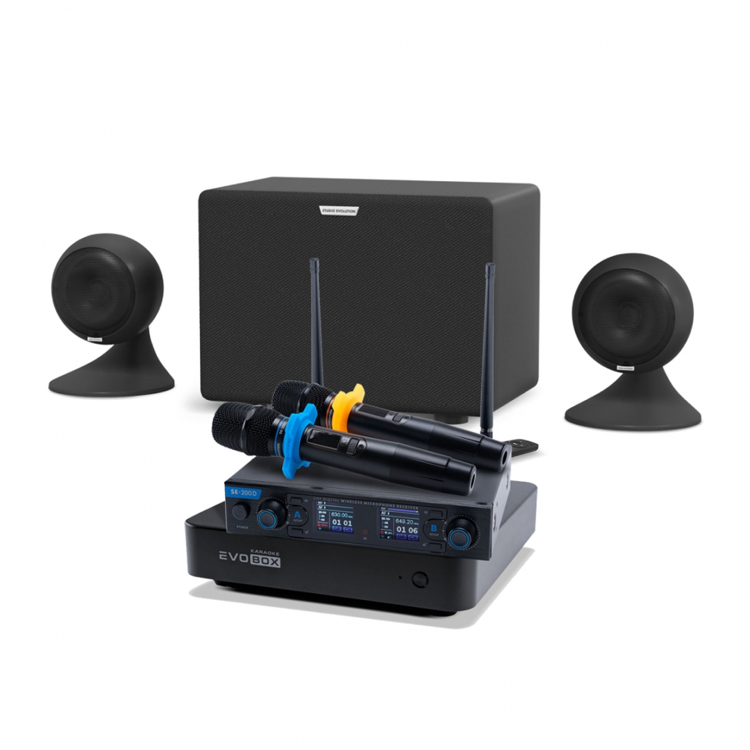 караоке-комплект EVOBOX + EvoSound Sphere 2.1 в Тайшете