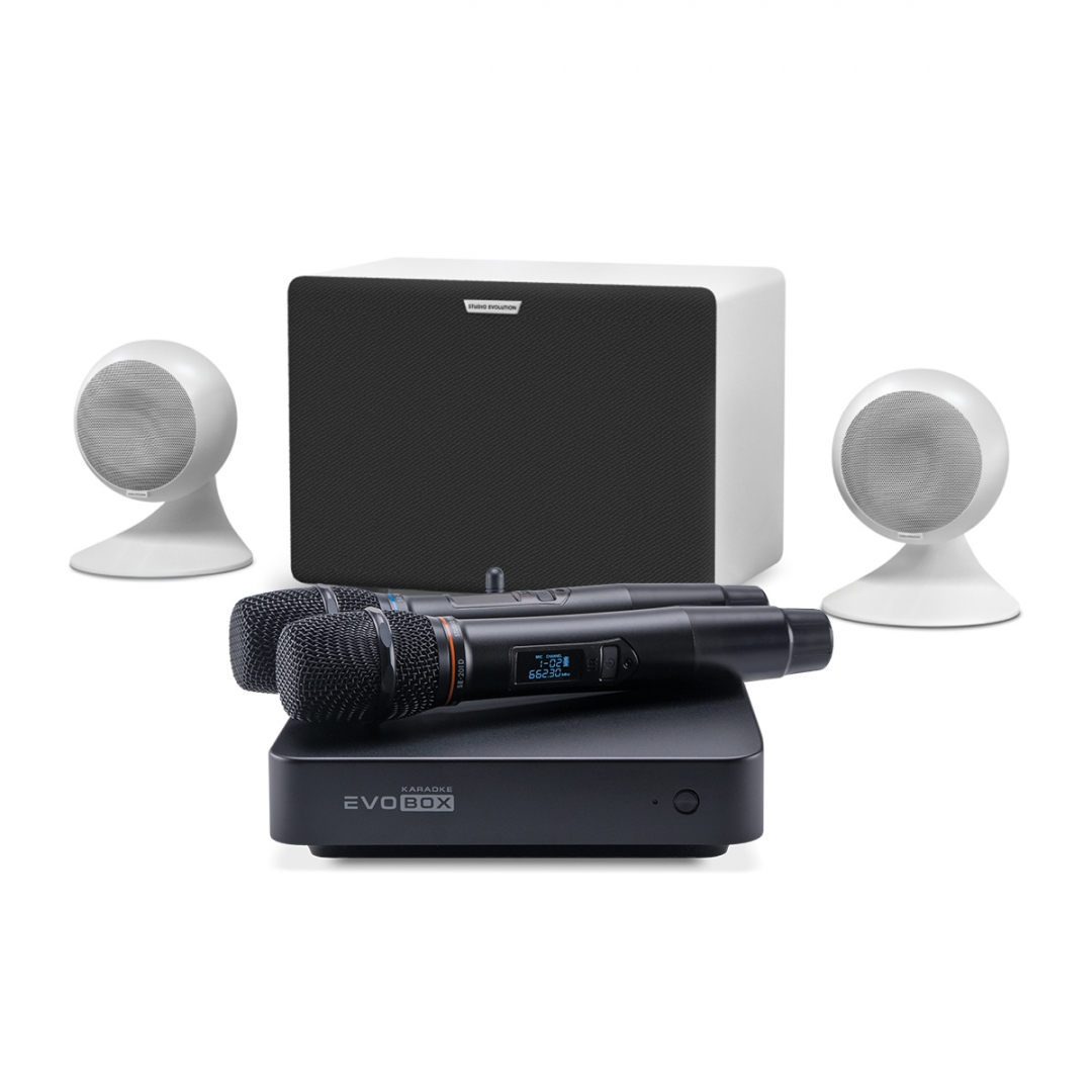 караоке-комплект EVOBOX Classic + EvoSound Sphere 2.1 в Тайшете