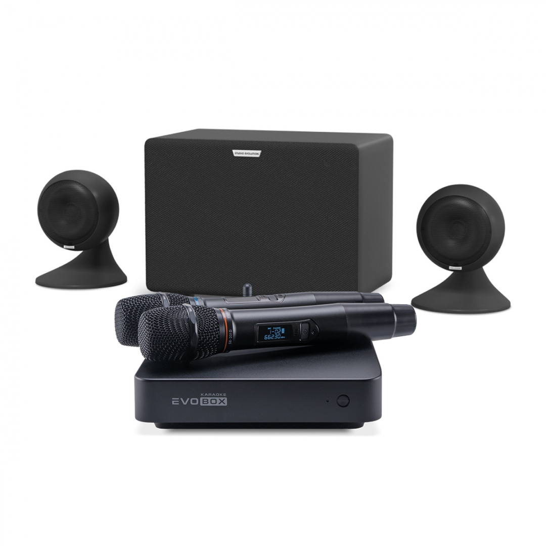 караоке-комплект EVOBOX Plus + EvoSound Sphere 2.1 в Тайшете