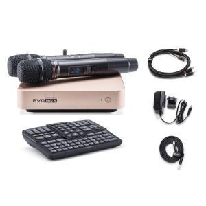 EVOBOX Classic караоке-система для дома в Тайшете