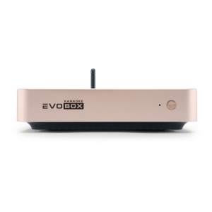EVOBOX Plus караоке-система для дома в Тайшете