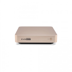 EVOBOX с микрофонами в Тайшете